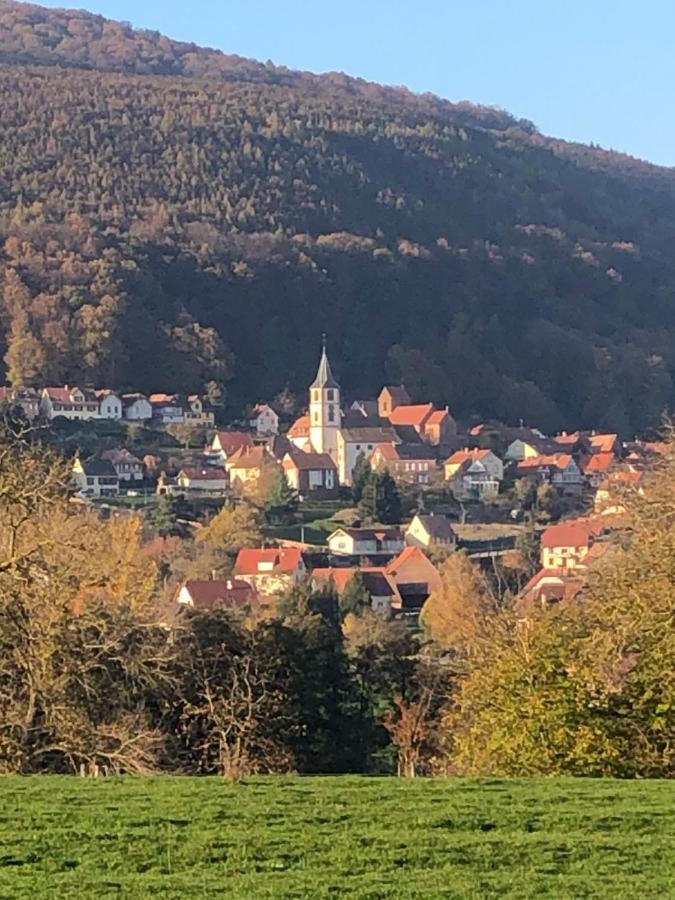 Gite L'Instant Durable Oberbronn Экстерьер фото
