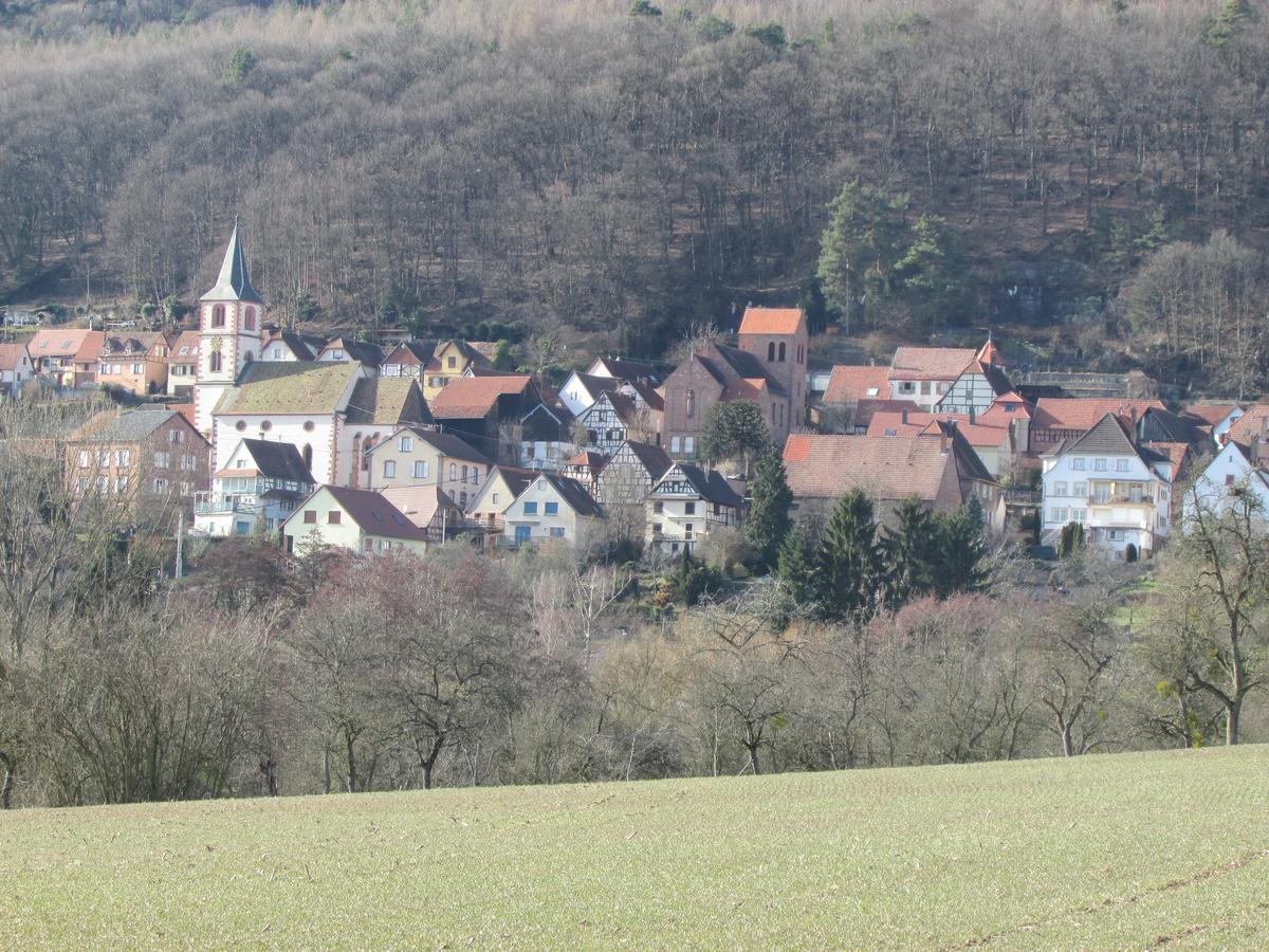 Gite L'Instant Durable Oberbronn Экстерьер фото
